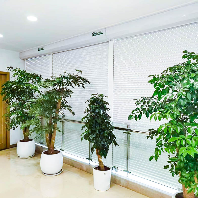 What Are the Most Common Roller Shutter Problems and How to Fix Them?